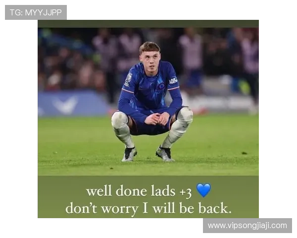 麦克法兰：佩德罗与帕尔默已训练 完全体备战